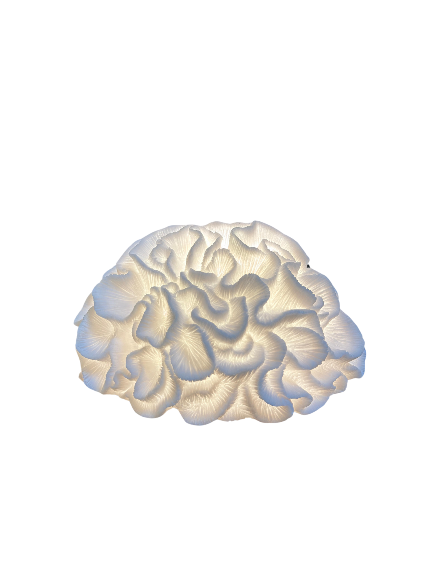 Brain Coral Masa Lambası Abajur