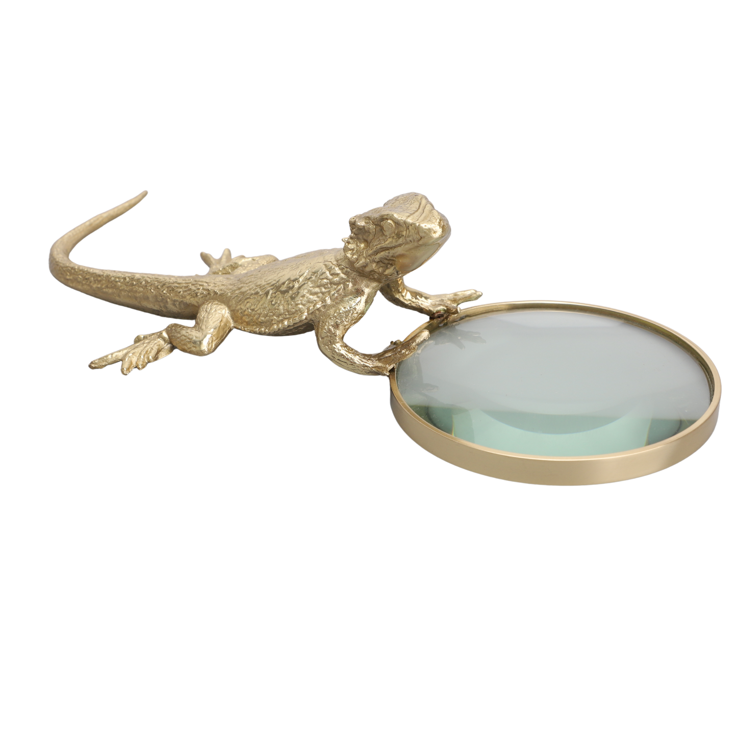 Gecko Pirinç Büyüteç-II