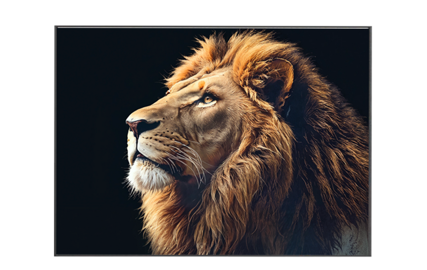 Kingmane Aslan Reçine Tablo