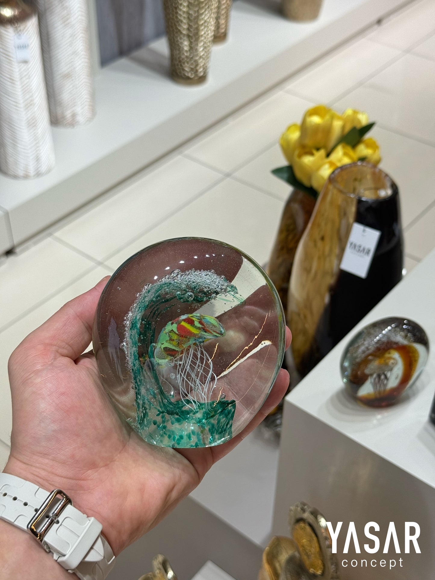 Aqualis Cam Deniz Anası 12x12 Cm