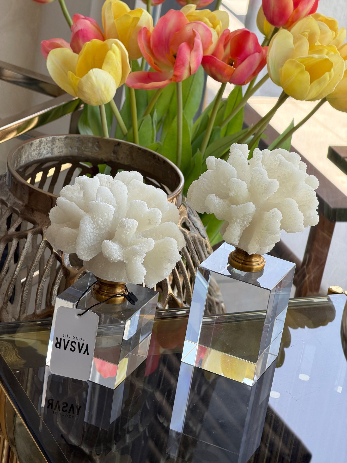 Coralys Dekoratif Mercan Set
