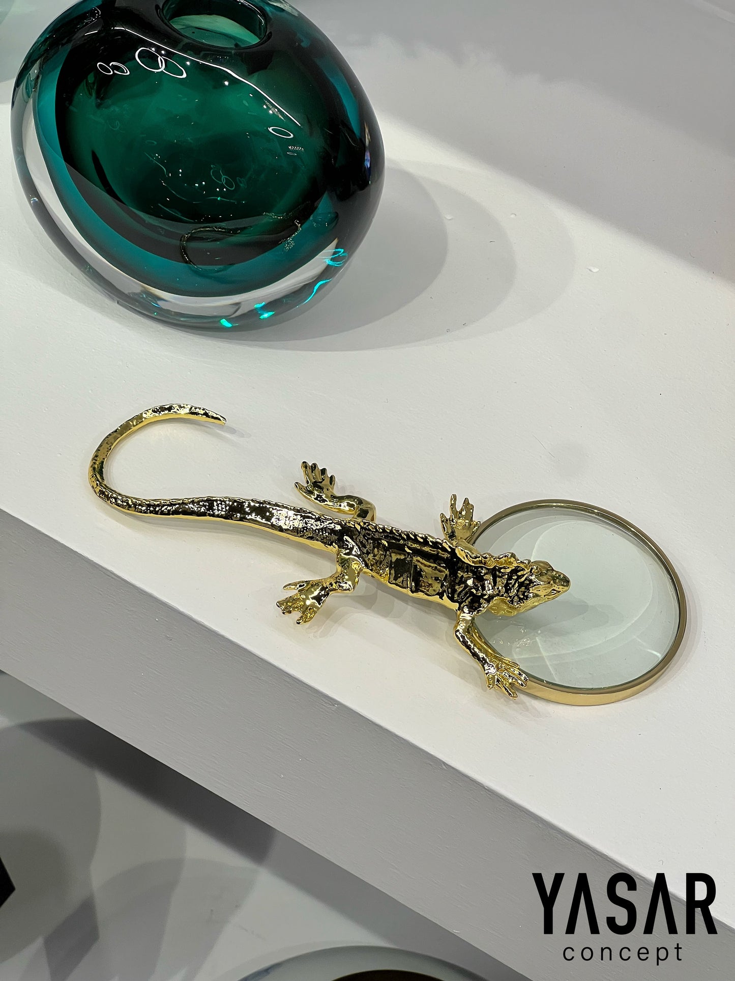 Gecko Pirinç Büyüteç-I