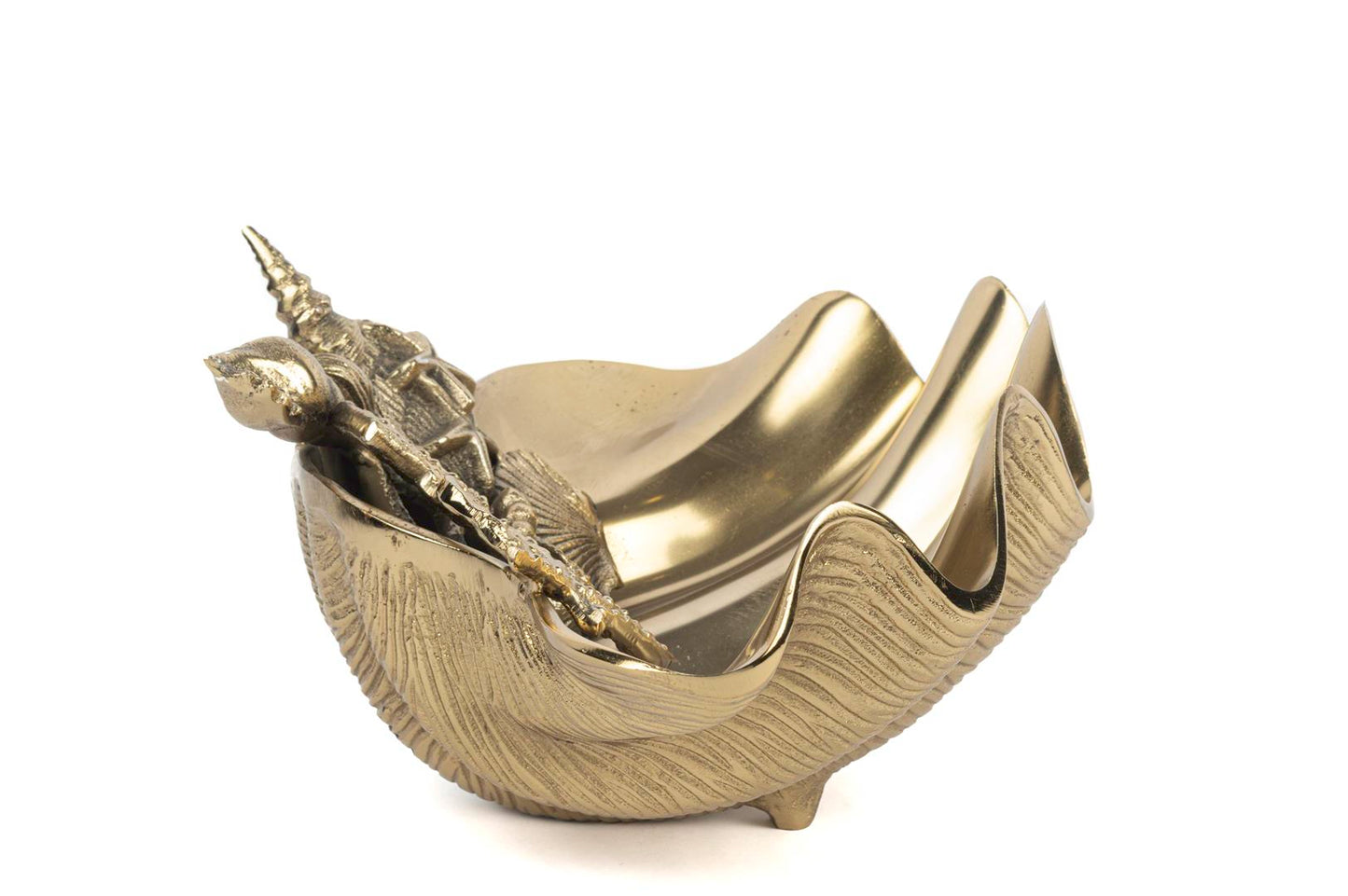 Marine Dekoratif Kase/Şişe Tutucu