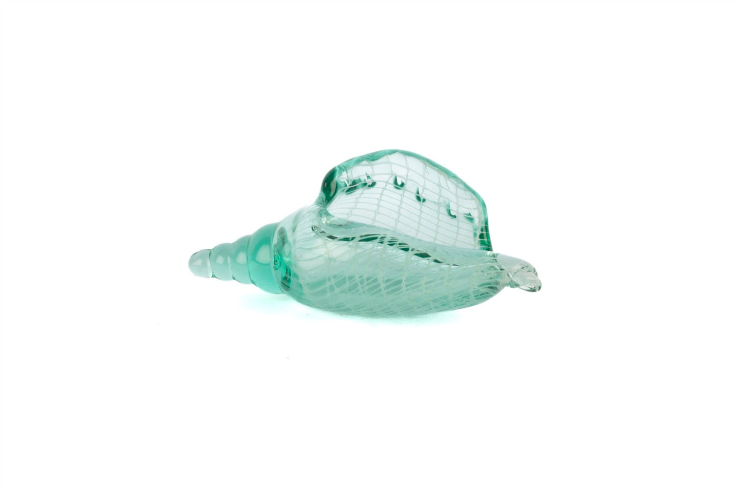 Nautulis Deniz Kabuğu Dekoratif Cam Obje Su Yeşili