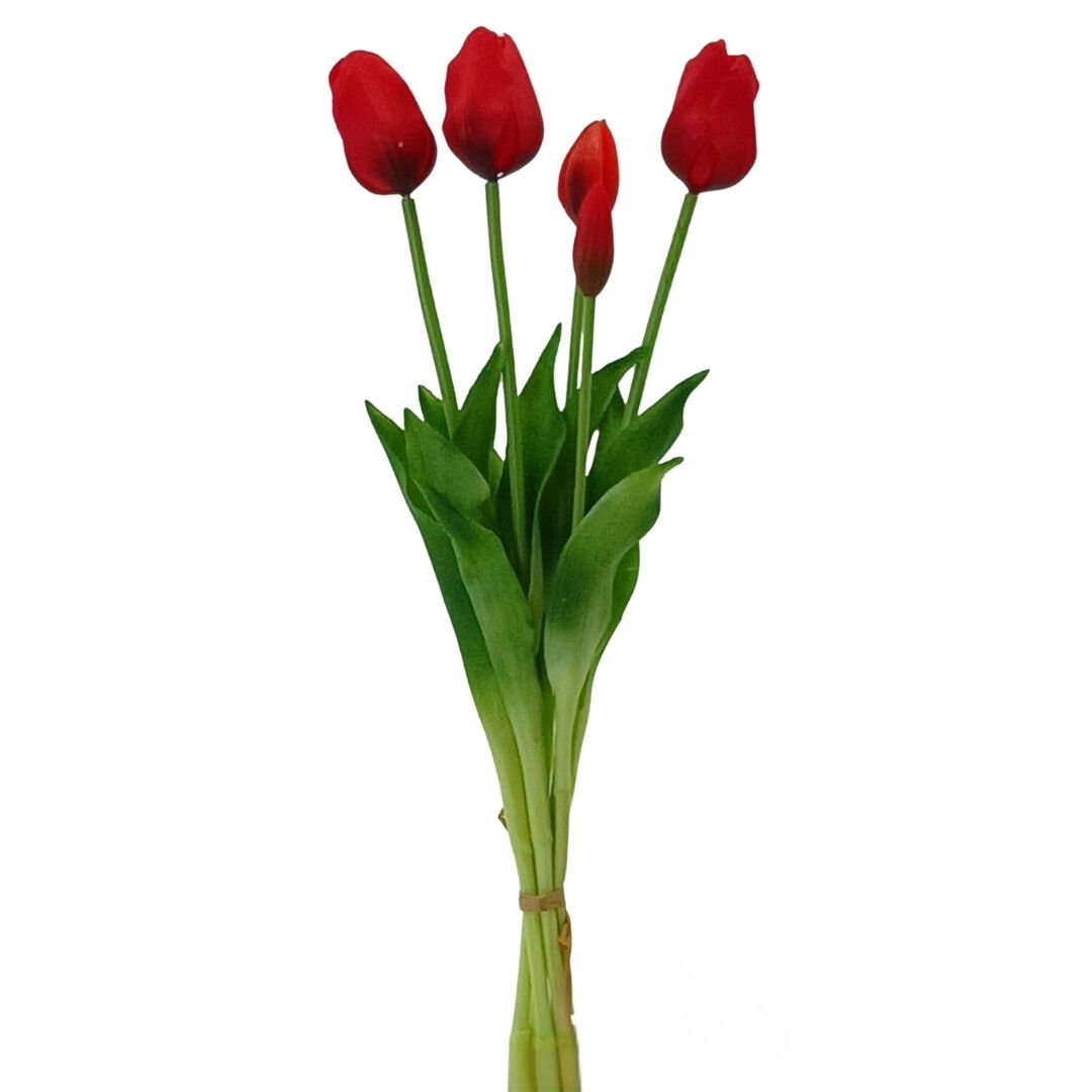 Lillaluce Islak Dokulu Lale Demeti Kırmızı