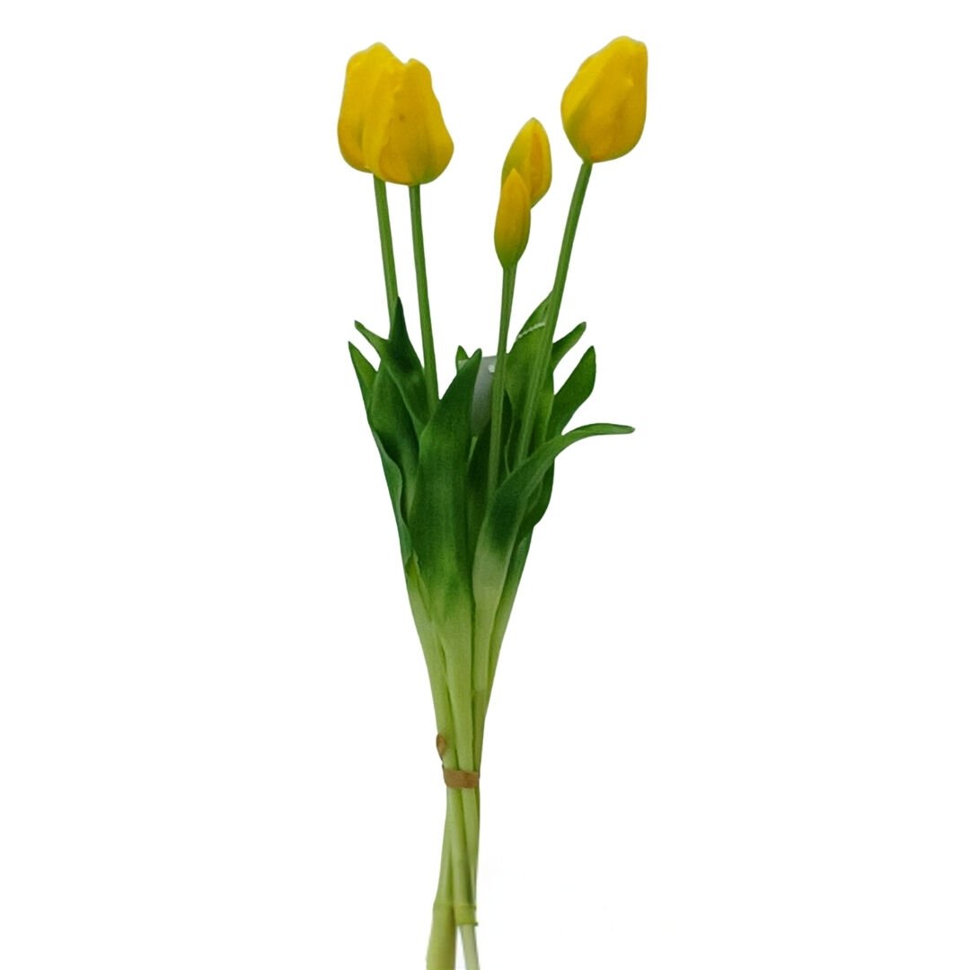 Lillaluce Islak Dokulu Lale Demeti Sarı