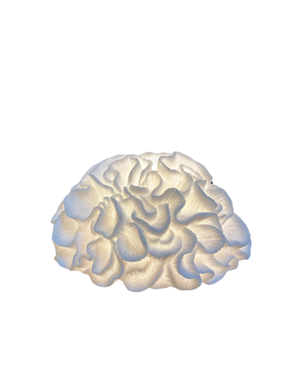 Brain Coral Masa Lambası Abajur