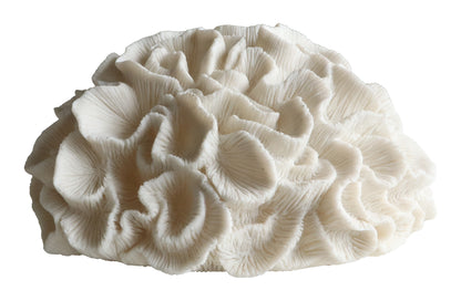 Brain Coral Masa Lambası Abajur