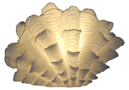 Shell Masa Lambası Abajur