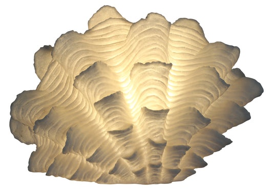 Shell Masa Lambası Abajur