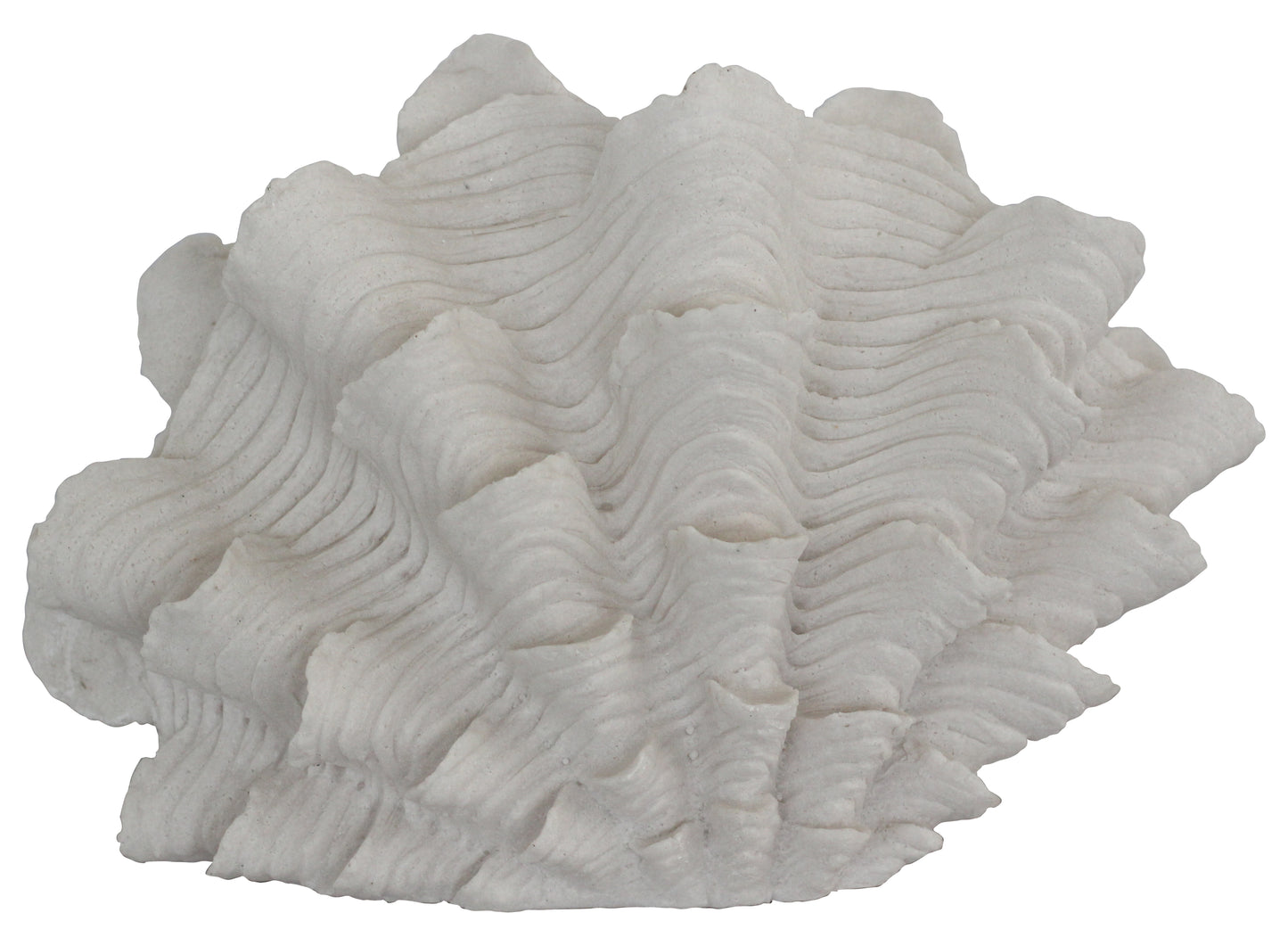 Shell Masa Lambası Abajur