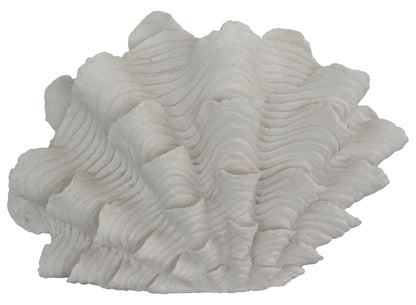 Shell Masa Lambası Abajur