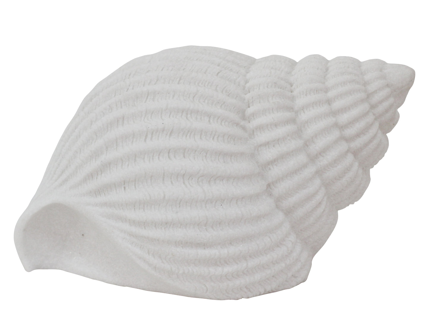Fasciolaria Masa Lambası Abajur