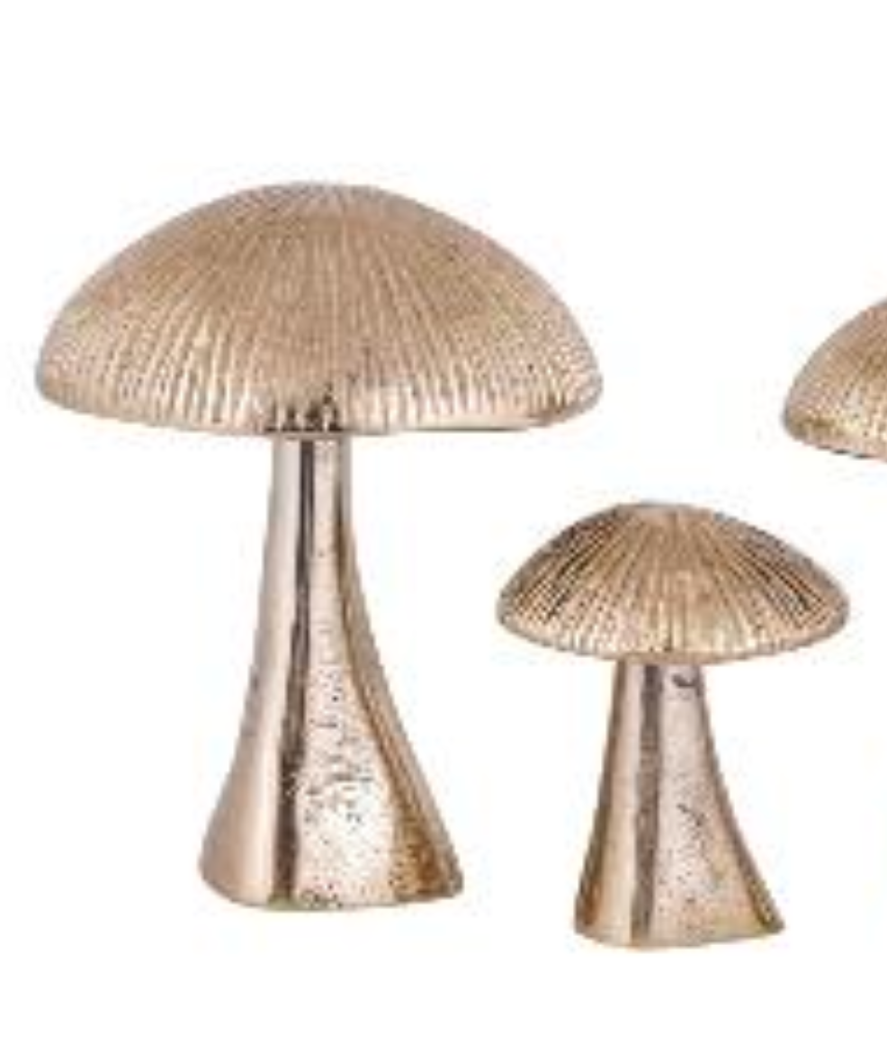 Mycora Metal Mantar Obje Set