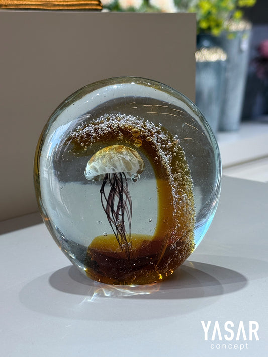 Aqualis Cam Deniz Anası Amber 12x12 Cm