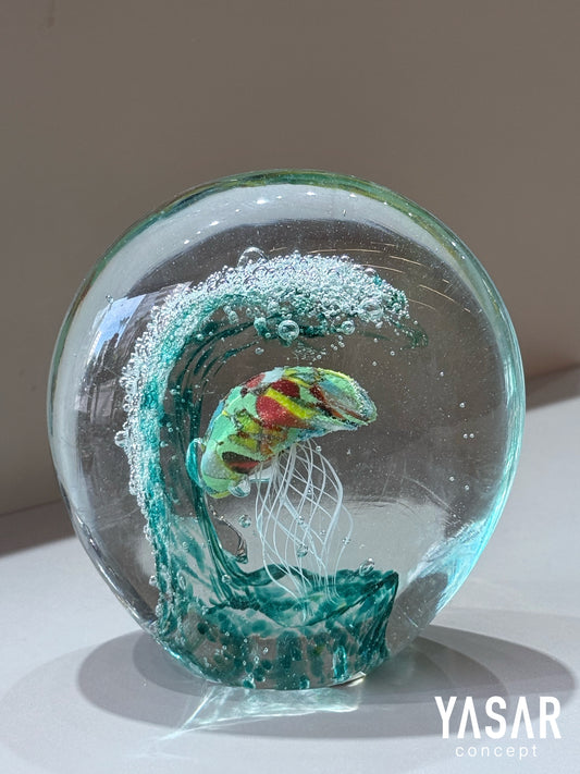 Aqualis Cam Deniz Anası 12x12 Cm