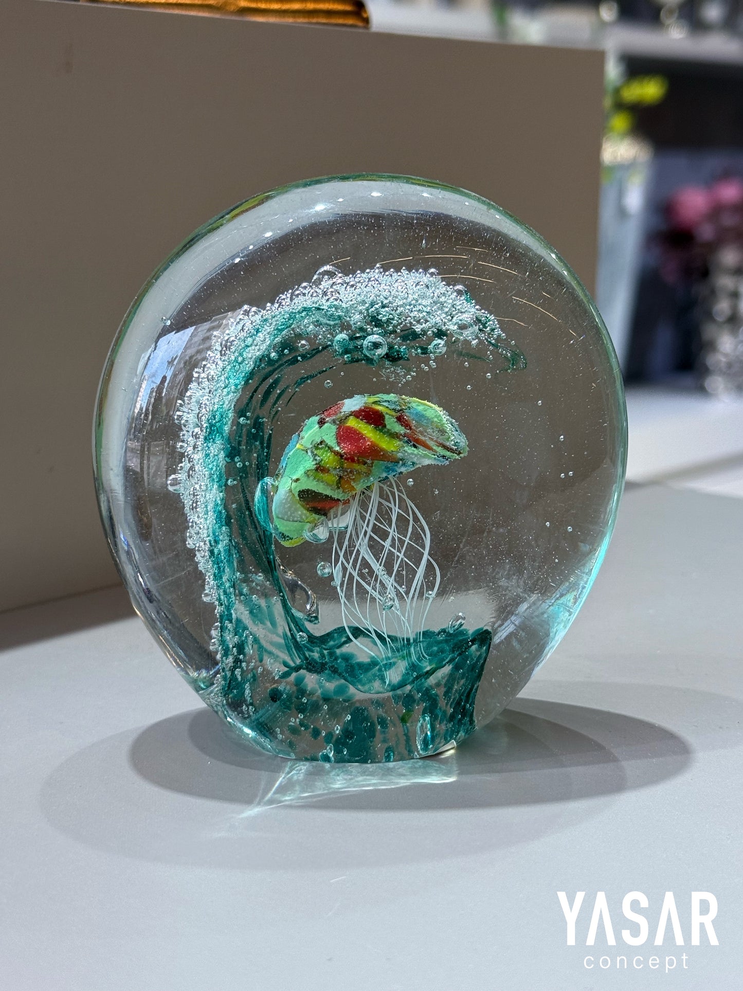 Aqualis Cam Deniz Anası 12x12 Cm