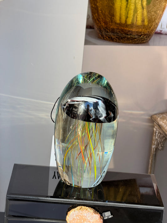 Jellyfish Cam Deniz Anası 12x12 Cm