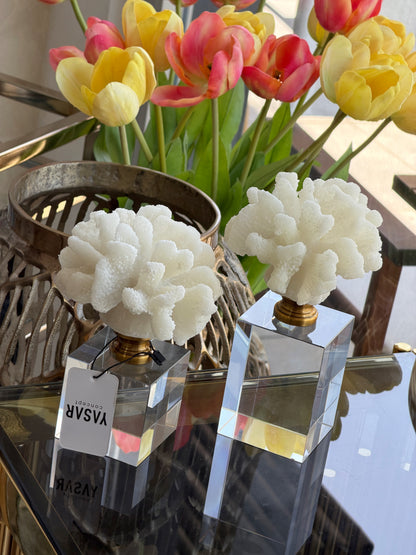 Coralys Dekoratif Mercan Set