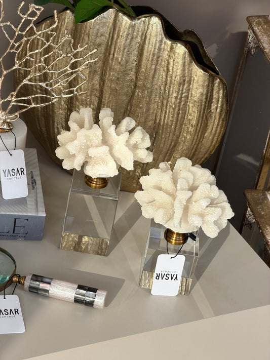 Coralys Dekoratif Mercan Set