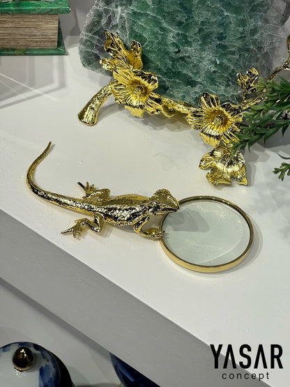 Gecko Pirinç Büyüteç-II
