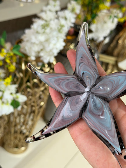 Stella Cam Deniz Yıldızı