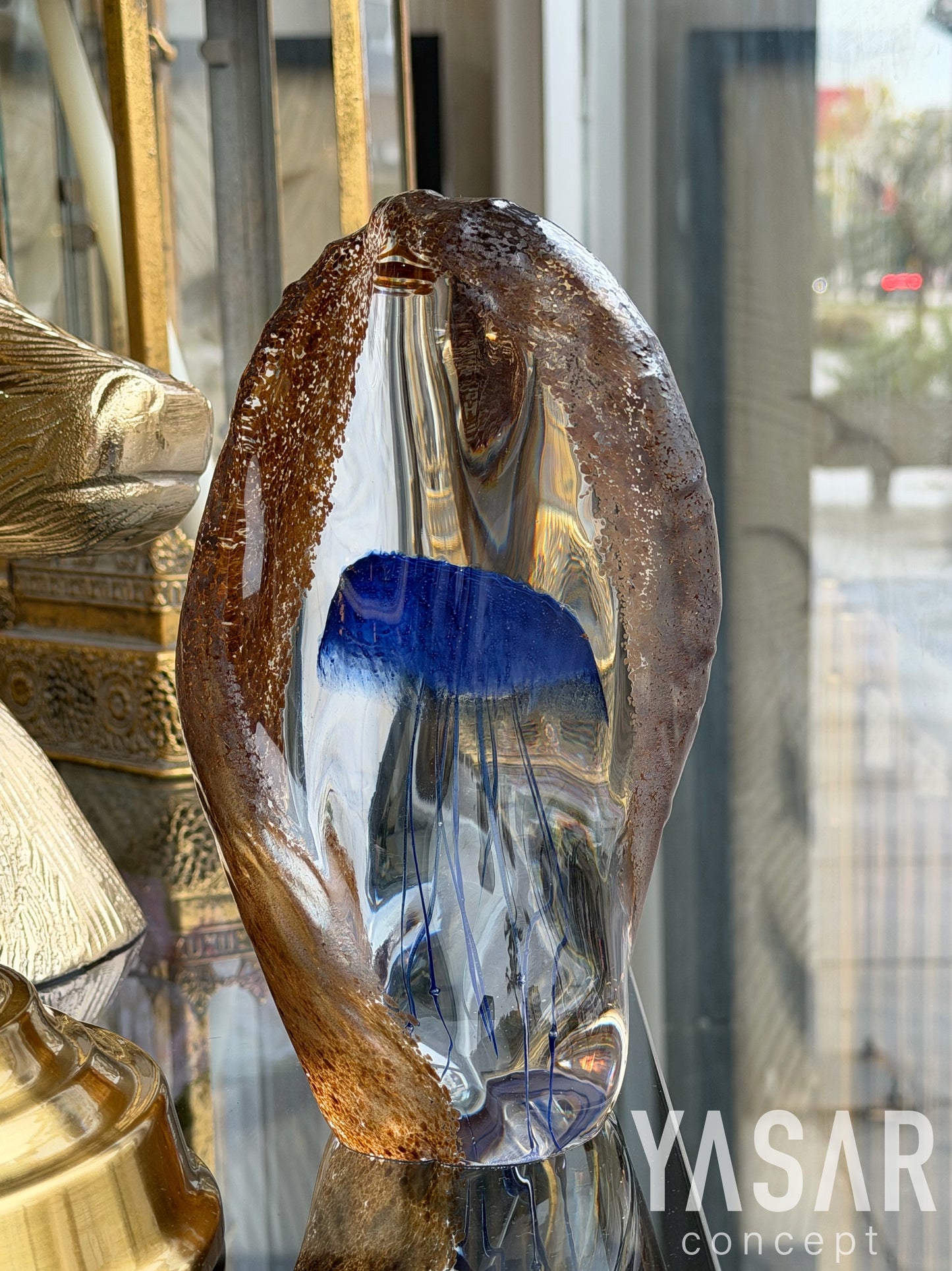 Pelagia Cam Deniz Anası 14x20 Cm