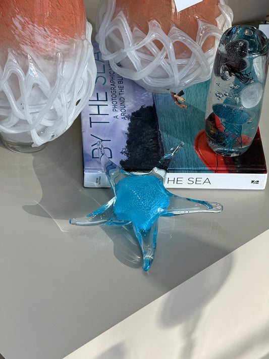 Cam Deniz Yıldızı Mavi