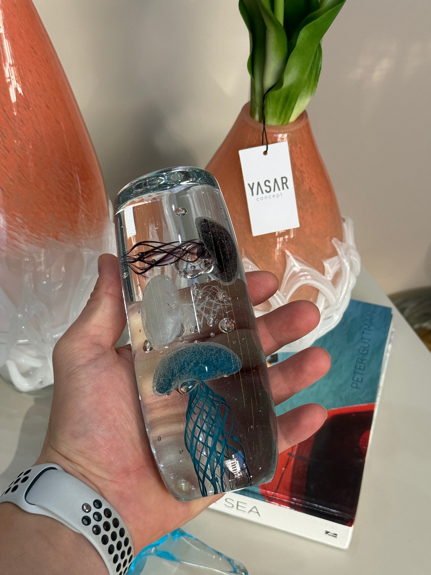 Marquella Cam Deniz Anası