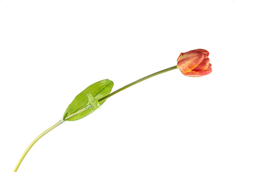 Tulipa Yapay Lale Çiçek Turuncu