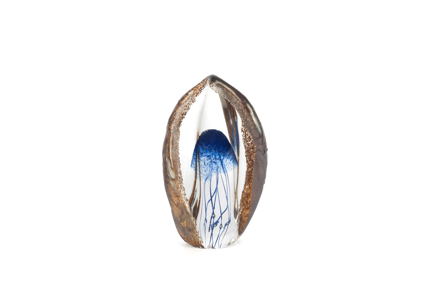 Pelagia Cam Deniz Anası 14x20 Cm