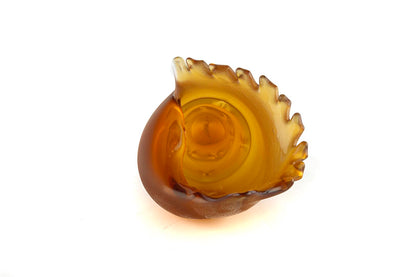 Lucent Deniz Kabuğu Amber