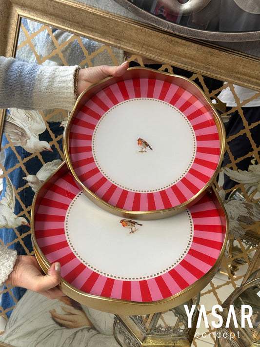 Rubella Cam Tepsi Seti