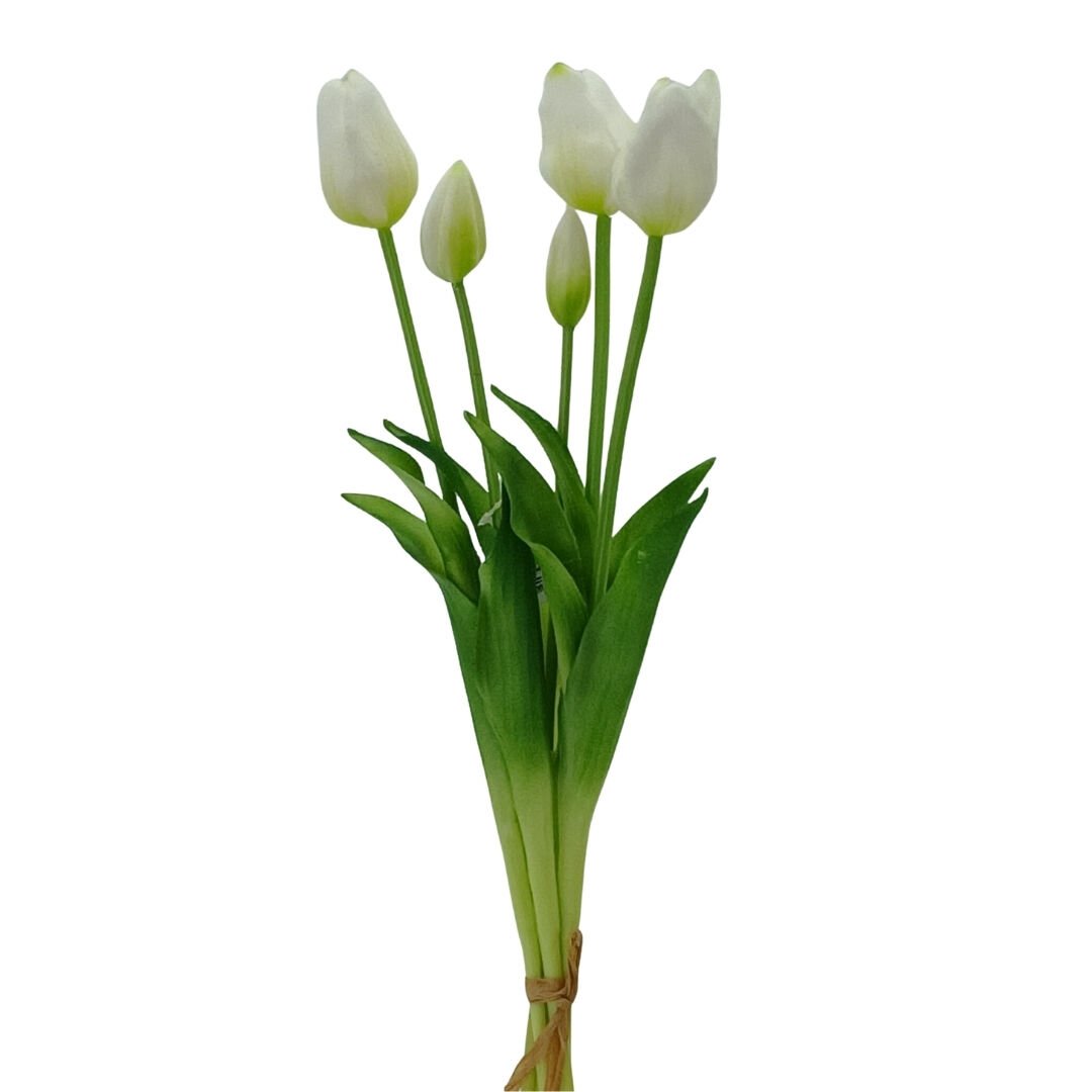 Lillaluce Islak Dokulu Lale Demeti Beyaz