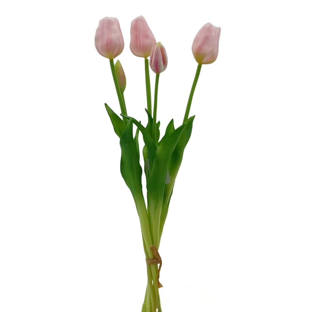 Lillaluce Islak Dokulu Lale Demeti Açık Pembe