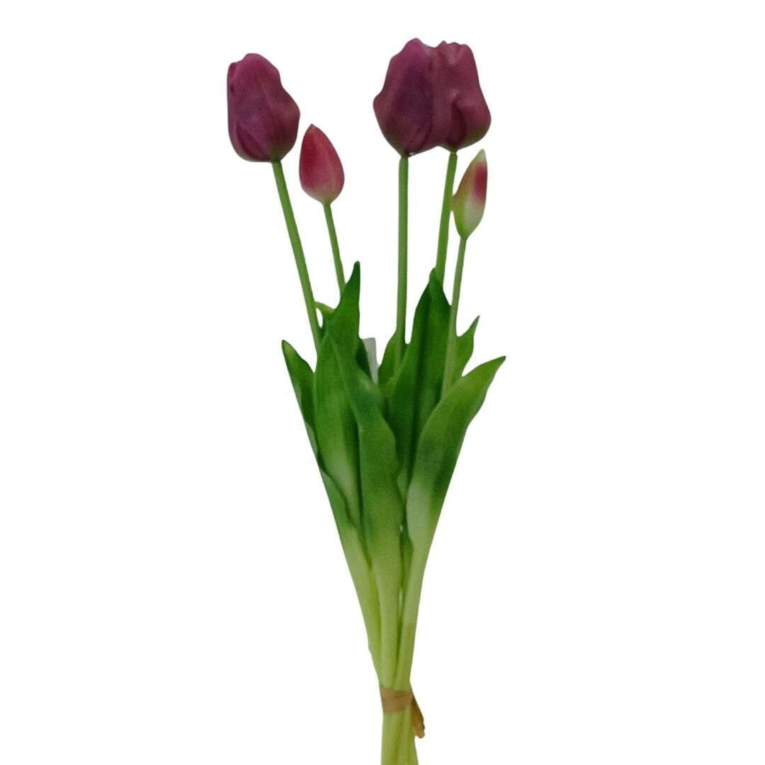 Lillaluce Islak Dokulu Lale Demeti Mor