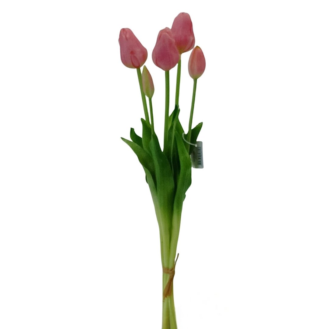 Lillaluce Islak Dokulu Lale Demeti Pembe