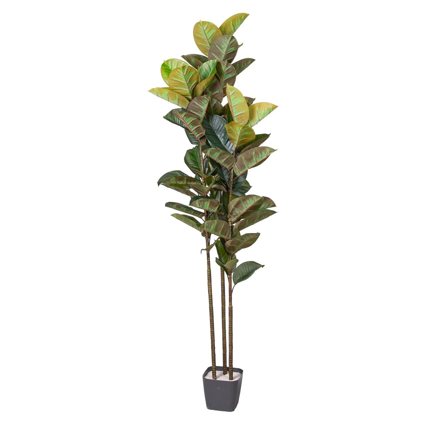 Yapay Ficus Elastica Ağacı